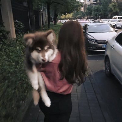 WlPuppy's profile picture