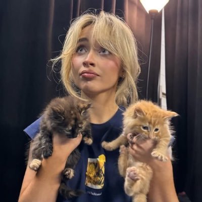 noe ✭'s profile picture