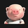 Profilbild von ZY H