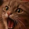 Profilbild von Lagan