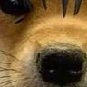 Jean's profile picture
