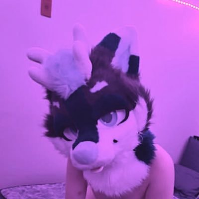 Kras but gay 🔜 Megaplex's profile picture