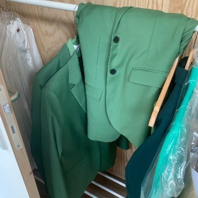 Les vestes vertes de Marine Tondelier's profile picture
