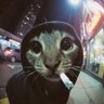 Aroc 的头像