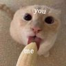 ชอบเงื่ยนจัง's profile picture