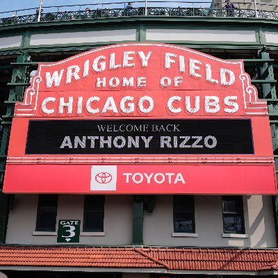 Anthony Rizzo's profile picture