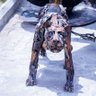 Фото профиля Godwin Ogbole