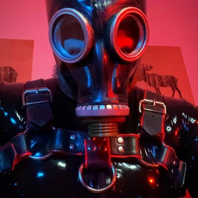 UKkinkycub's profile picture