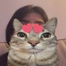 صيته profil fotoğrafı