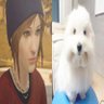 tekoooo's profile picture