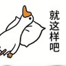明年就买仿赛's profile picture