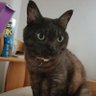 mimi mama's profile picture