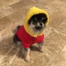 maru's profile picture
