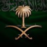 Profilbild von Tareg Saleh🇸🇦