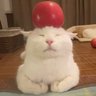 Profilbild von inkvine