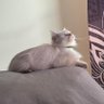 jubilant's profile picture