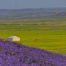 Фото профиля عبدالرحمن التميمي A.Al-Tamimi