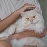 Calma profil fotoğrafı