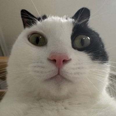 용식's profile picture