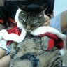 あらん's profile picture