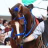 ピンス焼き競馬 profil fotoğrafı