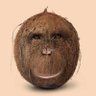 jamminy jamster 的头像
