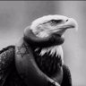 America First profil fotoğrafı