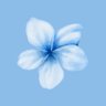 BlueDev's profile picture