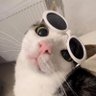 ⌜ผัดกะเพรา⌟ ✘✘ ℗'s profile picture