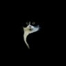 -'s profile picture