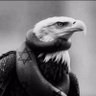 Creeker2's profile picture