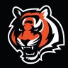 Profilbild von Bengals 4 Life