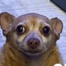 Profilbild von Flizzy