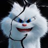 Tunc's profile picture