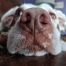 Troy's profile picture
