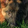 Фото профиля jim williamson