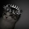 Profilbild von efe