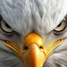 J Coronel's profile picture