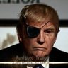 Profilbild von Punished Trump