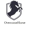 Фото профиля 【OvercomeHorse】KATSUMA@ダーツ🪼