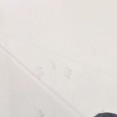 Gordo limeño 🧐's profile picture