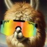 Papa Alpaca | The Official Podcast of WBS 🧊🫵🦙 的头像