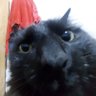 Joel's profile picture