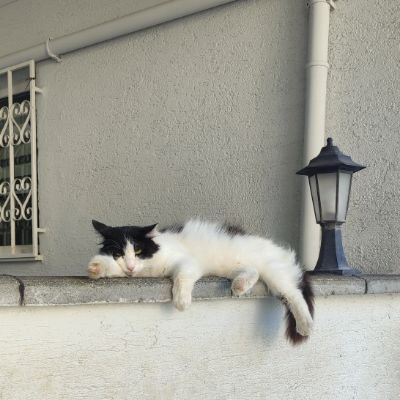 xixedhellonja's profile picture