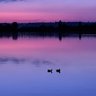 Christo 的头像