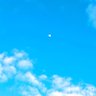 Blue Moon's profile picture