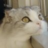 Profilbild von 野比のび太
