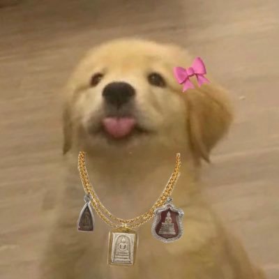 ppoohmamee's profile picture