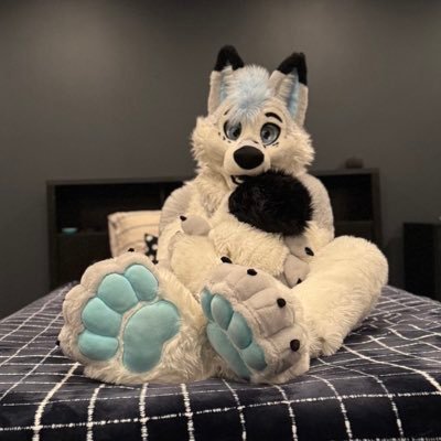 Artythefoxx's profile picture