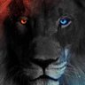 ARIFI 🦁 的头像